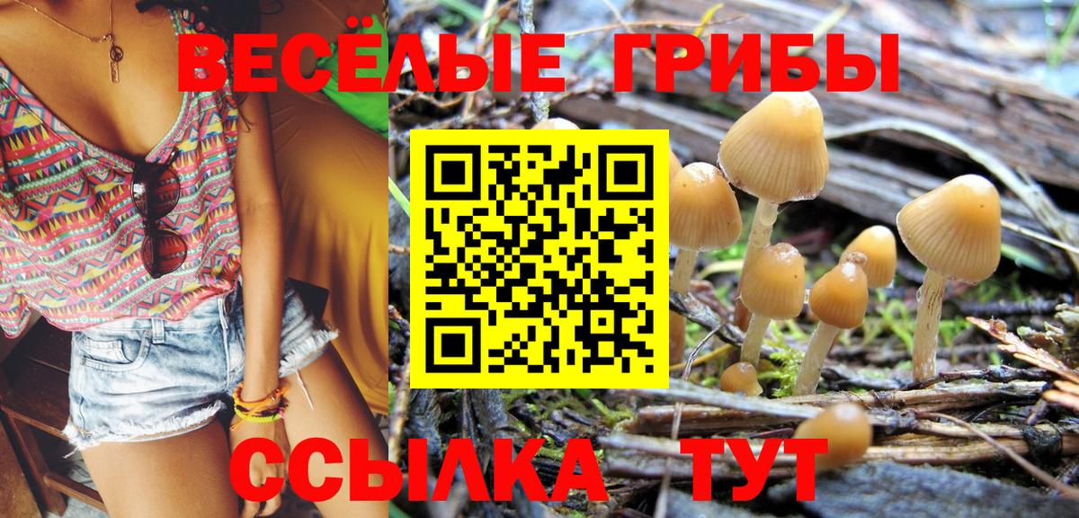 Галлюциногенные грибы прущие грибы Ессентуки