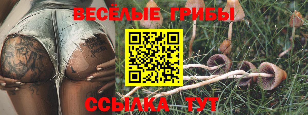 Ессентуки  Псилоцибиновые грибы GOLDEN TEACHER  Вход с VPN 